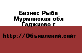 Бизнес Рыба. Мурманская обл.,Гаджиево г.